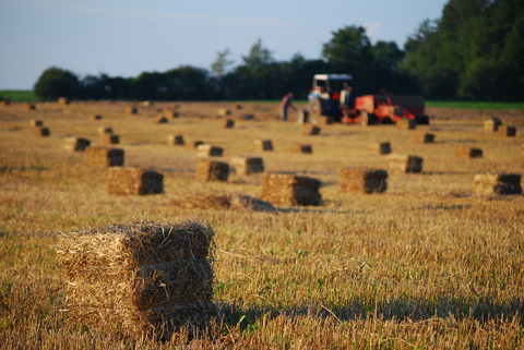 hay baling
