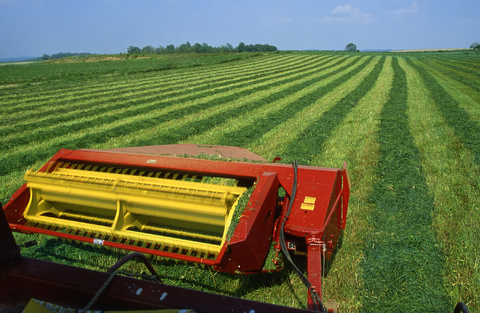 Mowing